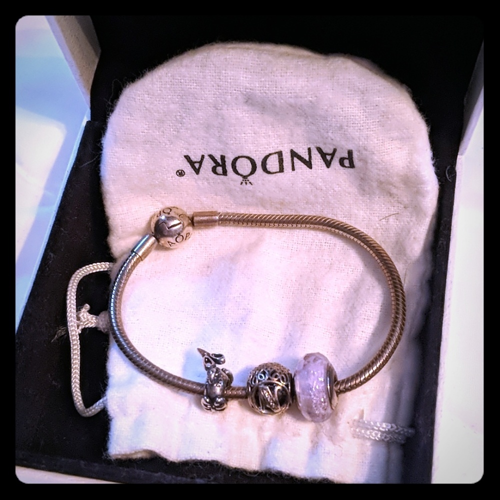 Pandora Bracelet